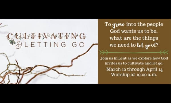 Cultivate Focus, Let Go of Distraction Image